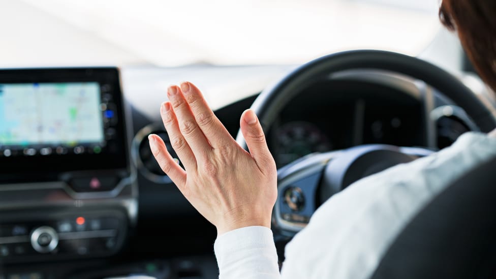 Thank you wave satire