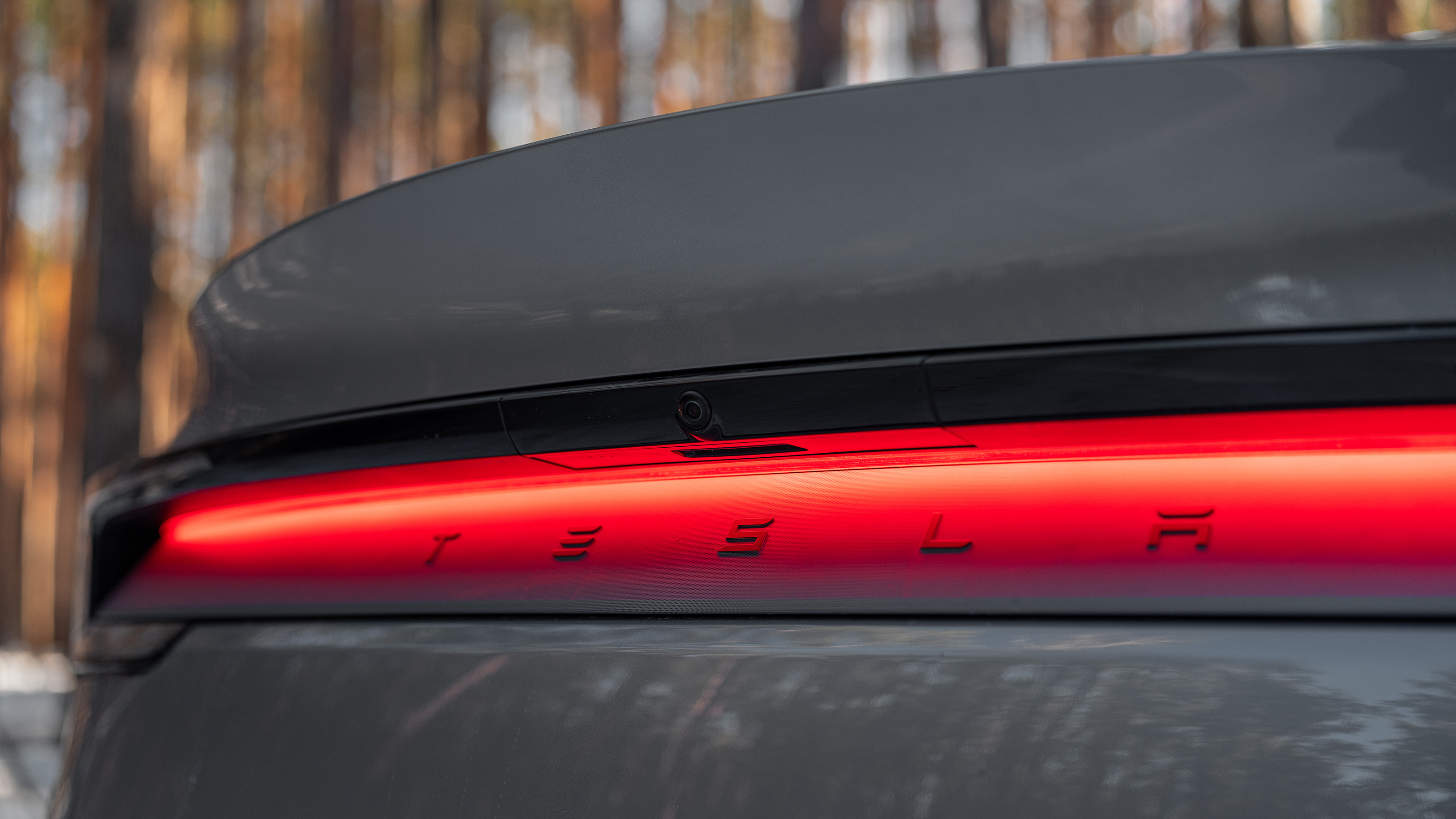 Tesla Model Y taillight