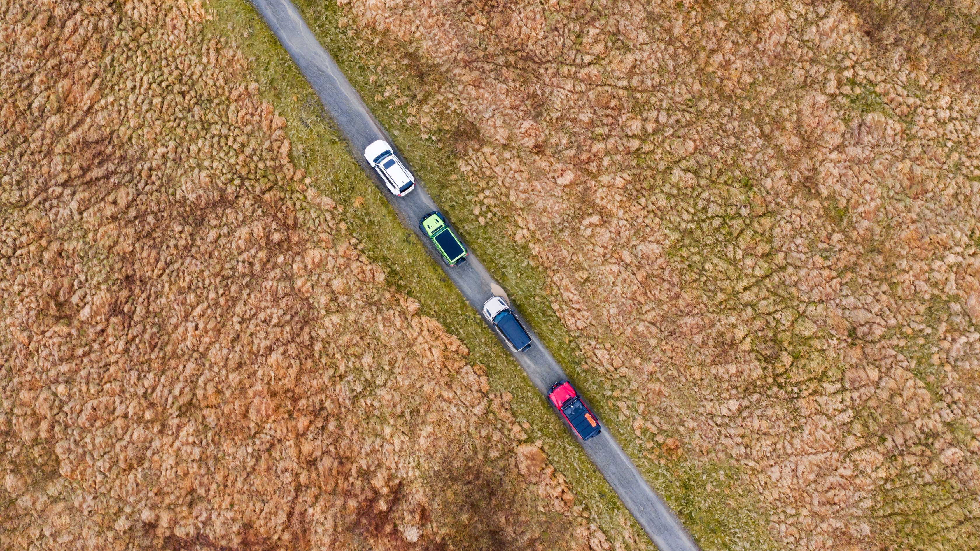 Full tilt! Big Trucks